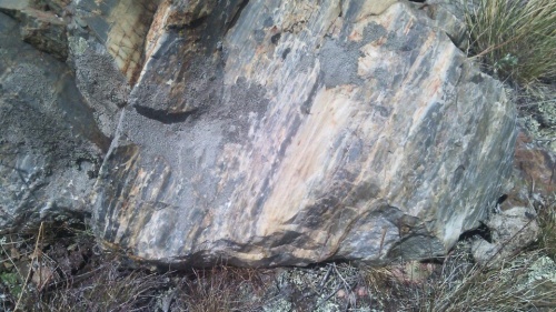 Гигантские зелёные валуны для ландшафтного дизайна весом более 5 тонн купить в Пыть-Яхе